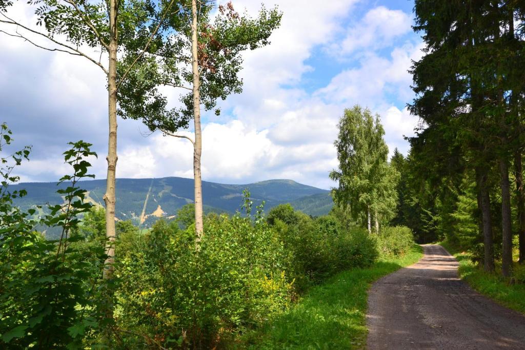 Apartmany Ski Lift Rokytnice nad Jizerou Extérieur photo